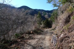 大島峠へ林道を詰める