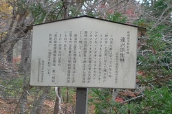 達沢原生林の看板